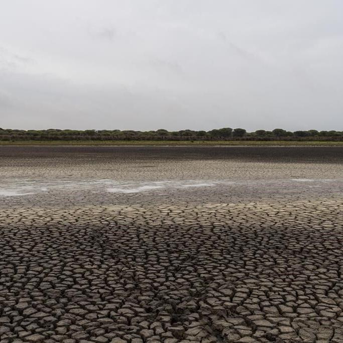 Andalusia considers more irrigation near Spanish wetlands